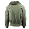 Фото: Куртка B-15 Slim Fit Flight Jacket
